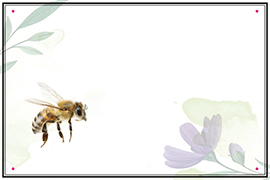 Schild zum Personalisieren Floral 04