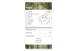 Design Hase 02