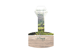 Design Waldhonig Natur Nr.06 C 250g mit Gewährverschluss