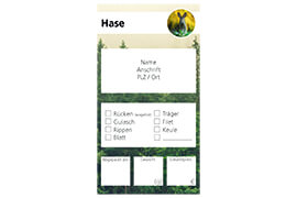 Design Hase 04