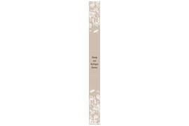 Siegelstreifen neutral modern 14 rechteckig lang