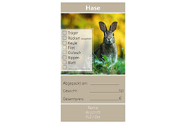 Design Hase 03