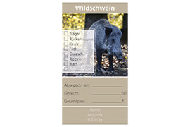 Design Wildschwein 03